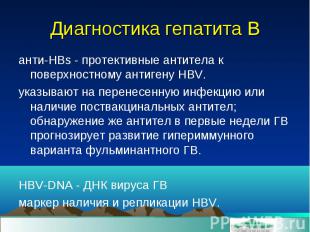 анти-HBs - протективные антитела к поверхностному антигену HBV. анти-HBs - проте