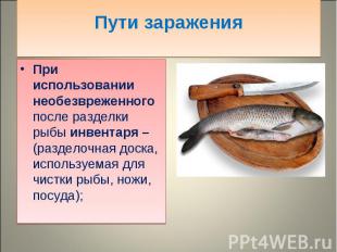 При использовании необезвреженного после разделки рыбы инвентаря – (разделочная