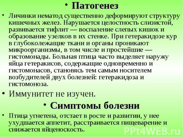 Патогенез Патогенез Личинки нематод существенно деформируют структуру кишечных желез. Нарушается целостность слизистой, развивается тифлит — воспаление слепых кишок и образование узелков в их стенке. При гетеракидозе кур в глубоколежащие ткани и орг…