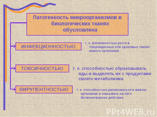 Патогенность микроорганизмов в биологических тканях обусловлена Патогенность микроорганизмов в биологических тканях обусловлена