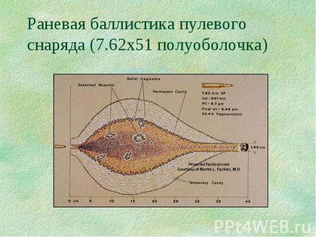 Раневая баллистика пулевого снаряда (7.62х51 полуоболочка)