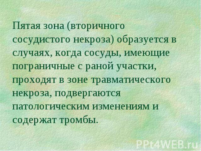 Пятая зона (вторичного сосудистого некроза) образуется в случаях, когда сосуды, имеющие пограничные с раной участки, проходят в зоне травматического некроза, подвергаются патологическим изменениям и содержат тромбы.