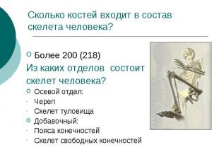 Сколько костей входит в состав скелета человека? Более 200 (218) Из каких отдело