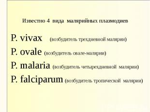 P. vivax (возбудитель трехдневной малярии) P. vivax (возбудитель трехдневной мал