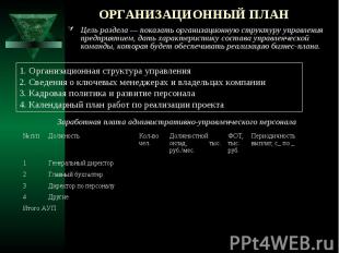 ОРГАНИЗАЦИОННЫЙ ПЛАН Цель раздела — показать организационную структуру управлени