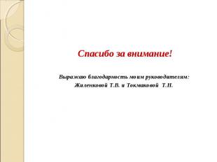 Спасибо за внимание! Выражаю благодарность моим руководителям: Жиленковой Т.В. и