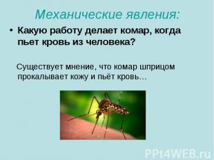 Механические явления: Какую работу делает комар, когда пьет кровь из человека? С
