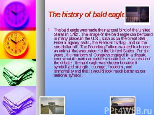 The history of bald eagle The bald eagle was made the national bird of the Unite