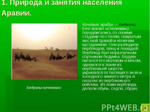 1. Природа и занятия населения Аравии. Кочевые арабы — бедуины (что значит «степ