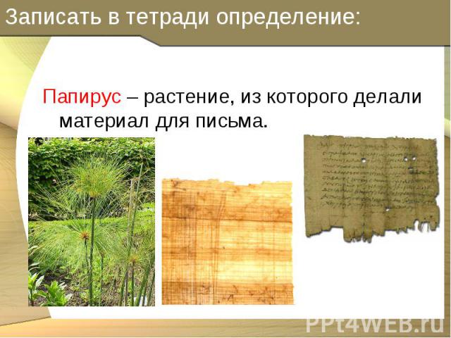 Папирус – растение, из которого делали материал для письма. Папирус – растение, из которого делали материал для письма.