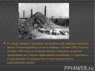 В лагере смерти Саласпилс мученической смертью погибли около 3 тысяч детей до 5