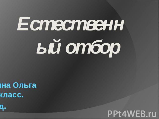 Лодыгина Ольга 10 «В» класс. 2014 год. Естественный отбор