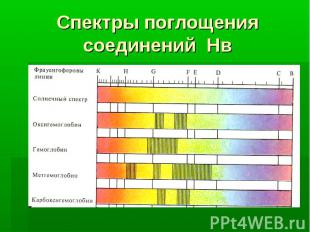 Спектры поглощения соединений Нв