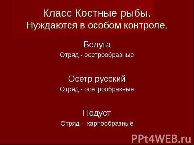 Белуга Белуга Отряд - осетрообразные Осетр русский Отряд - осетрообразные Подуст Отряд - карпообразные