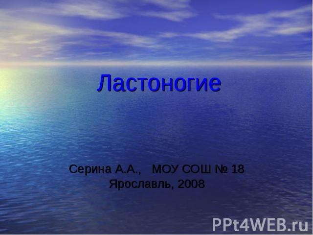 Ластоногие Серина А.А., МОУ СОШ № 18 Ярославль, 2008