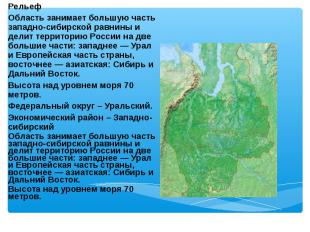 Рельеф Рельеф Область занимает большую часть западно-сибирской равнины и делит т
