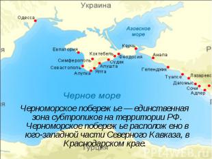 Черноморское побережье — единственная зона субтропиков на территории РФ. Черномо