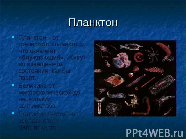 Планктон Планктон – от греческого «планктос», что означает «блуждающий». Живут во взвешенном состоянии, как бы парят. Величина от микроскопической до нескольких сантиметров. Подразделяется но зоопланктон и фитопланктон