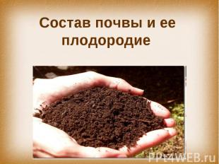 Состав почвы и ее плодородие