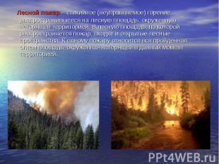 &nbsp; Лесной пожар – стихийное (неуправляемое) горение, распространившееся на л