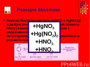 Реактив Миллона (раствор HgNO3 и Hg(NO2)2 в разбавленной HNO3, содержащей примес