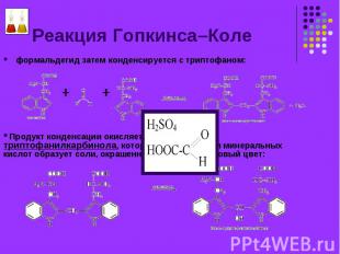 формальдегид затем конденсируется с триптофаном: формальдегид затем конденсирует