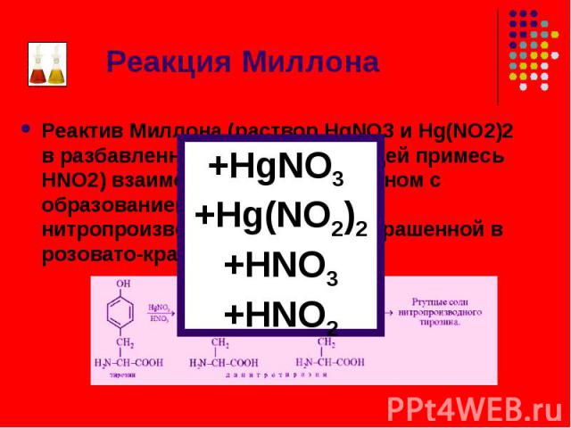 Реактив Миллона (раствор HgNO3 и Hg(NO2)2 в разбавленной HNO3, содержащей примесь HNO2) взаимодействует с тирозином с образованием ртутной соли нитропроизводного тирозина, окрашенной в розовато-красный цвет: Реактив Миллона (раствор HgNO3 и Hg(NO2)2…