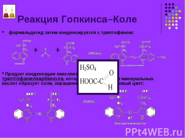 формальдегид затем конденсируется с триптофаном: формальдегид затем конденсируется с триптофаном: