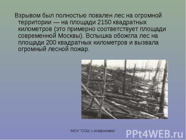 Взрывом был полностью повален лес на огромной территории — на площади 2150 квадратных километров (это примерно соответствует площади современной Москвы). Вспышка обожгла лес на площади 200 квадратных километров и вызвала огромный лесной пожар. Взрыв…