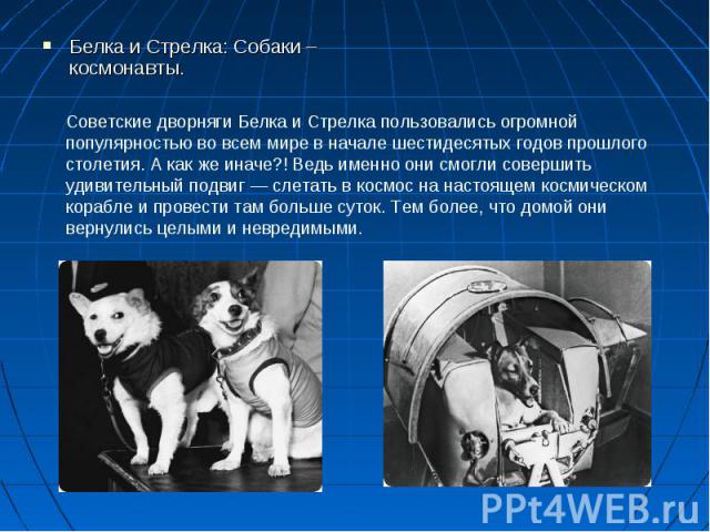 Белка и Стрелка: Собаки – космонавты. Белка и Стрелка: Собаки – космонавты.