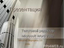 Текстовой редактор Microsoft Word 2002.