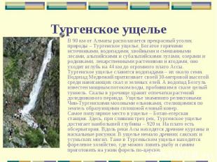 В 90 км от Алматы располагается прекрасный уголок природы – Тургенское ущелье. Б