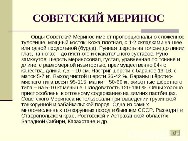 Овцы Советский Меринос имеют пропорционально сложенное туловище, мощный костяк. Кожа плотная, с 1-2 складками на шее или одной продольной (бурда). Рунная шерсть на голове до линии глаз, на ногах – до пястного и скакательного суставов. Руно замкнутое…