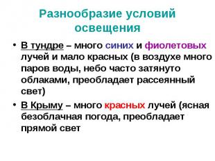 Разнообразие условий освещения В тундре – много синих и фиолетовых лучей и мало