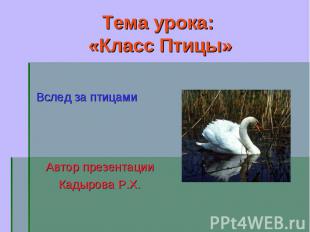 Вслед за птицами Вслед за птицами Автор презентации Кадырова Р.Х.