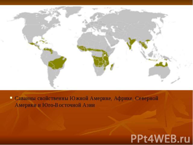 Саванны свойственны Южной Америке, Африке, Северной Америки и Юго-Восточной Азии Саванны свойственны Южной Америке, Африке, Северной Америки и Юго-Восточной Азии