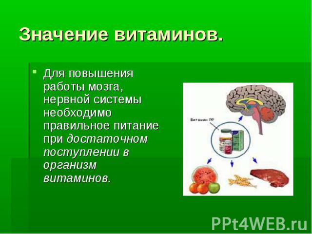 Значение витаминов. Для повышения работы мозга, нервной системы необходимо правильное питание при достаточном поступлении в организм витаминов.
