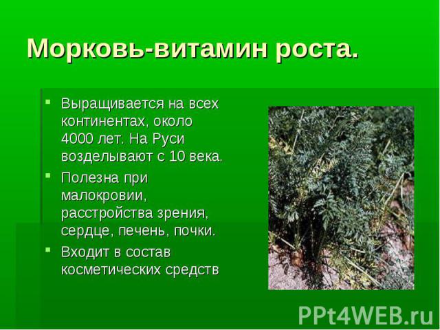 Морковь-витамин роста. Выращивается на всех континентах, около 4000 лет. На Руси возделывают с 10 века. Полезна при малокровии, расстройства зрения, сердце, печень, почки. Входит в состав косметических средств