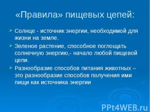 «Правила» пищевых цепей: Солнце - источник энергии, необходимой для жизни на зем