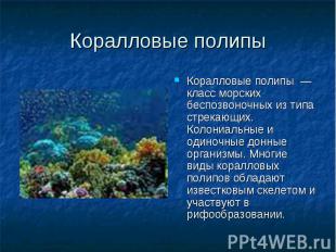 Коралловые полипы — класс морских беспозвоночных из типа стрекающих. Колониальны