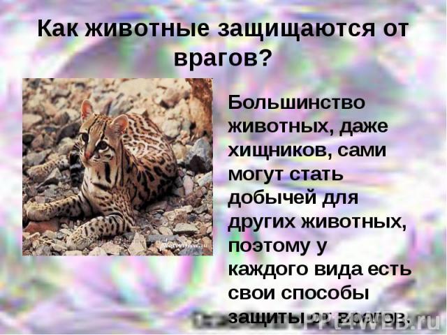 Как животные защищаются от врагов?