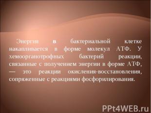 Энергия в бактериальной клетке накапливается в форме молекул АТФ. У хемоорганотр