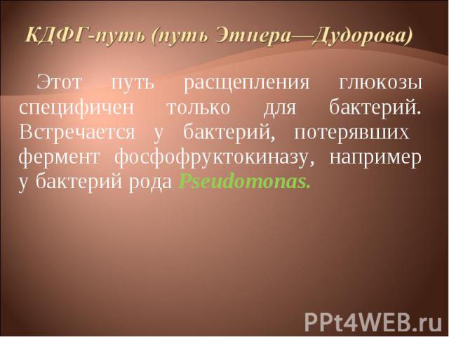 Этот путь расщепления глюкозы специфичен только для бактерий. Встречается у бактерий, потерявших фермент фосфофруктокиназу, например у бактерий рода Pseudomonas. Этот путь расщепления глюкозы специфичен только для бактерий. Встречается у бактерий, п…