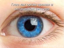 Глаз как орган зрения и оптическая система.