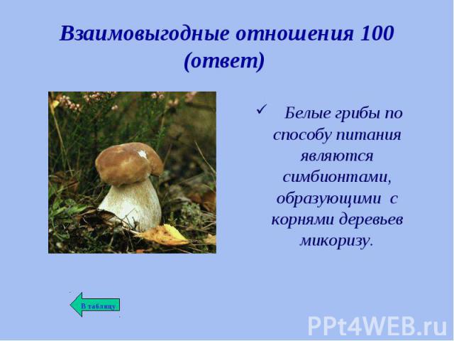 Белые грибы по способу питания являются симбионтами, образующими с корнями деревьев микоризу. Белые грибы по способу питания являются симбионтами, образующими с корнями деревьев микоризу.