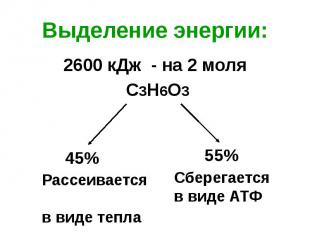 Выделение энергии: 2600 кДж - на 2 моля С3Н6О3