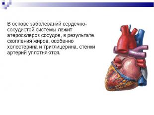 В основе заболеваний сердечно-сосудистой системы лежит атеросклероз сосудов, в р