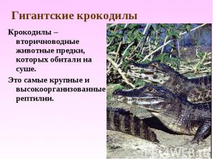 Крокодилы – вторичноводные животные предки, которых обитали на суше. Крокодилы –