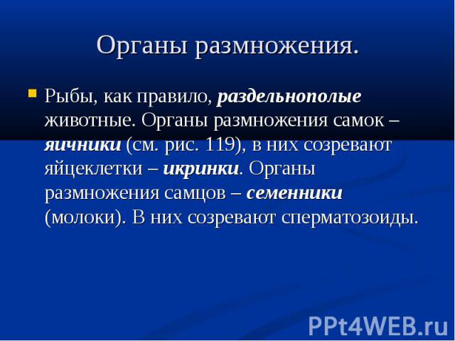 Размножение рыб раздельнополые. Органы размножения рыб. Органы размножения рыб таблица. Органы размножения у рыб представлены. Раздельнополые Близнецы.