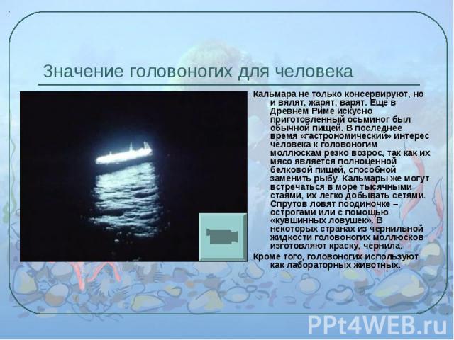 Кальмара не только консервируют, но и вялят, жарят, варят. Еще в Древнем Риме искусно приготовленный осьминог был обычной пищей. В последнее время «гастрономический» интерес человека к головоногим моллюскам резко возрос, так как их мясо является пол…